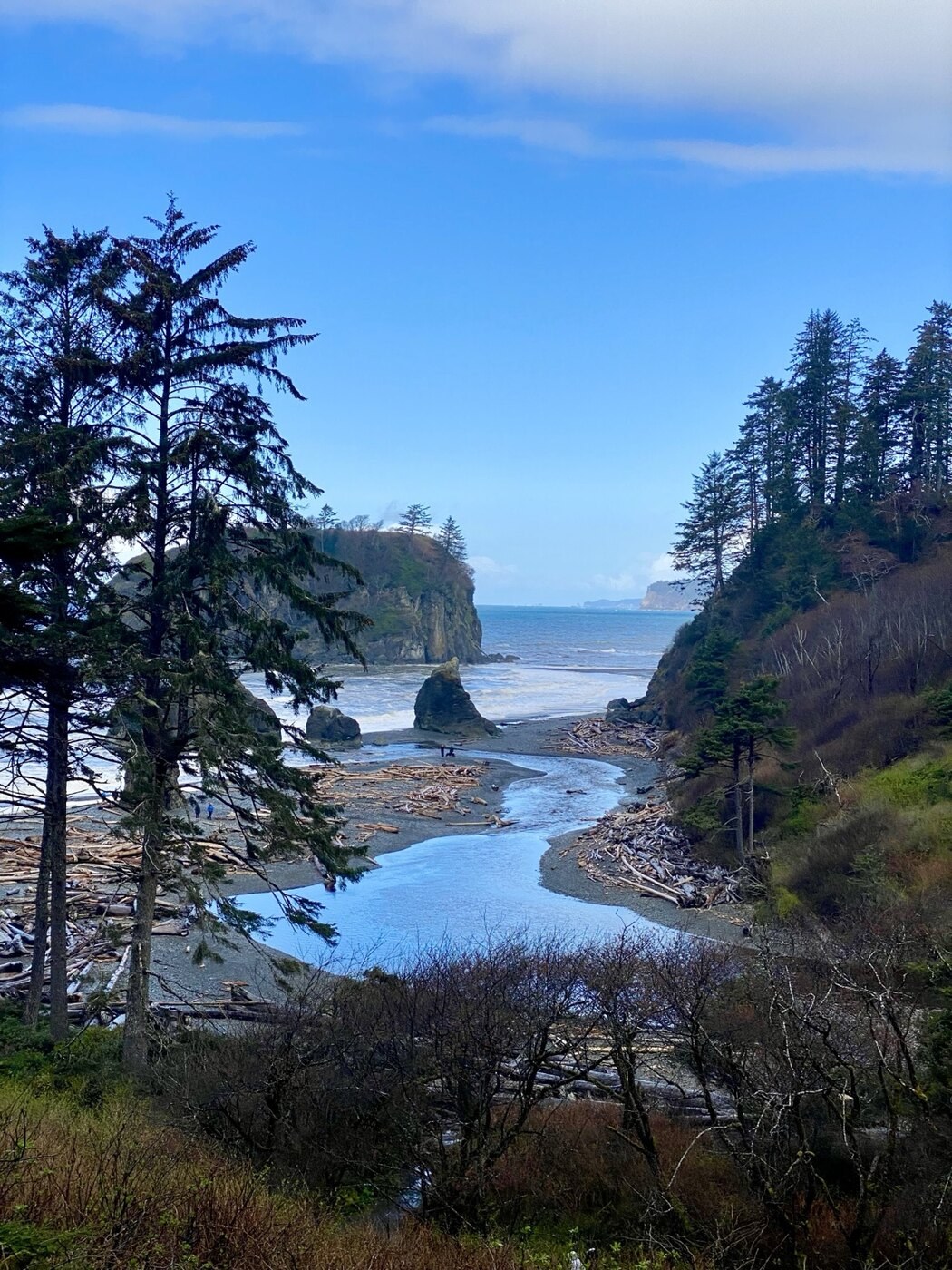 Rugged coastline